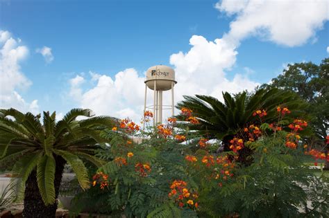 city of webster tx